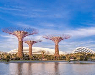 GardenBy the Bay Dewdrops school holiday day programs Library Visit Workshop